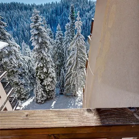 شقة فندقية Mountain بامبوروفو